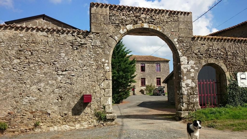 Bed and Breakfast Logis De Riparfonds Bressuire Exterior foto